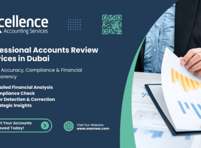 Accounting Review Services In Dubai Uae