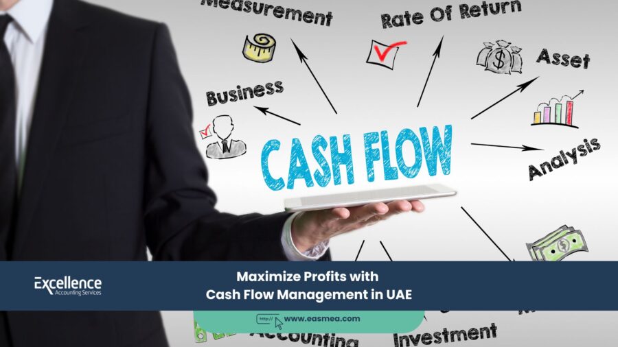 Maximize Profits With Cash Flow Management In Uae