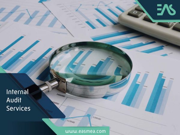 Internal Audit Services In Dubai Uae
